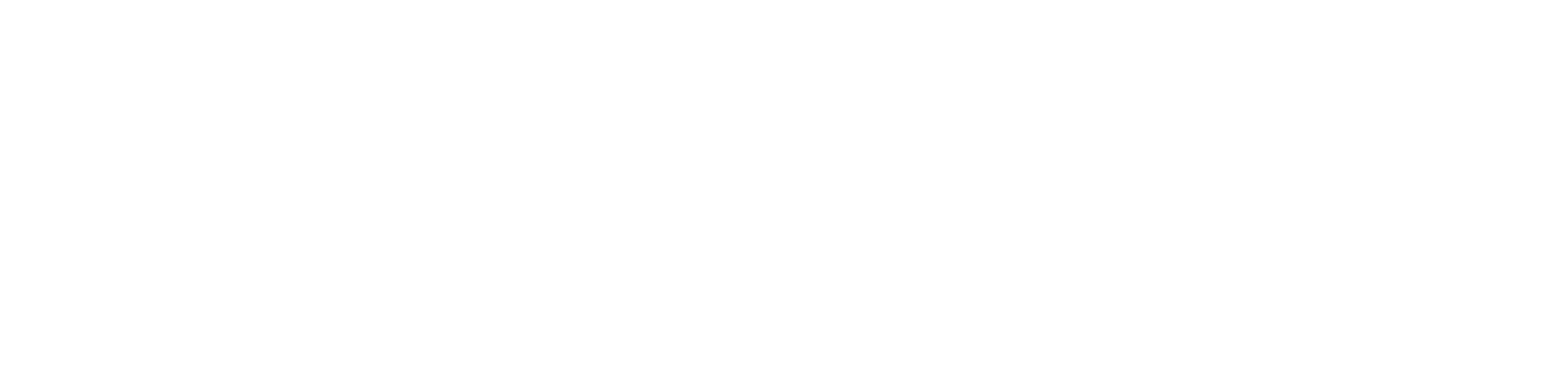 The Leadership Academy